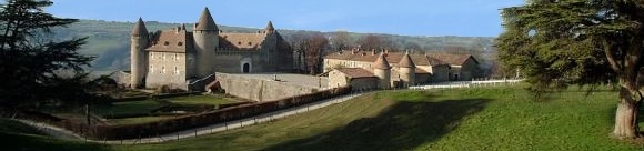 Le Ch�teau de Virieu en Is�re