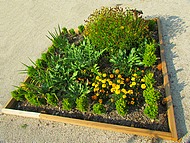 Beauvoir en Royans. Jardin m�di�val.