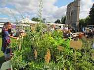 Beauvoir en Royans. Le march� aux herbes.