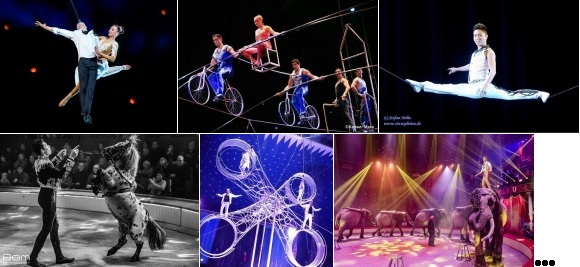 artistes de l'�dition 2017