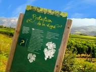 Sentier d�couverte Vercheny