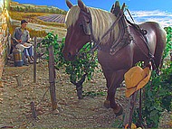 mus�e Carod de la Clairette
