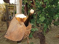 mus�e Carod de la Clairette
