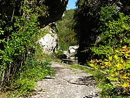 l'ancienne route du d�sert 
