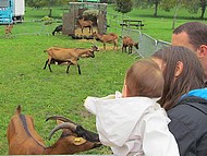 le carr� des ch�vres � la foire de St Aupre
