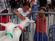la f�te des enfants