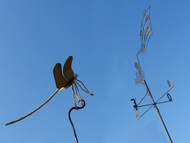 la  libellule et son po�te