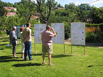 expo Au Jardin de Flore: les plantes m�dicinales