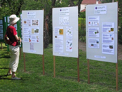 expo Au Jardin de Flore: les plantes m�dicinales