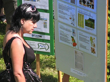 expo Au Jardin de Flore: les plantes m�dicinales