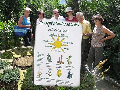 les plantes sacr�es de la St Jean
