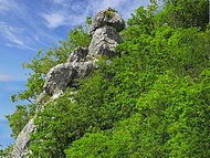 Cognin les Gorges, le chapeau de Napol�on