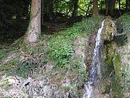 les jeunes adolescents allaient souvent vers Pupeti�res en suivant un vallon verdoyant.