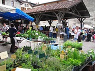 St Antoine l'Abbaye, f�te aux plantes