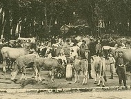 foire St Martin Voiron, dans les ann�es 1900!