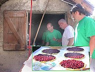 f�te des cerises St Jean de Moirans
