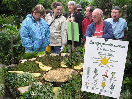 les herbes sacr�es de la St Jean.