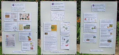avec Au Jardin de Flore, les plantes m�dicinales.