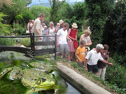 la voisine du bassin carr�