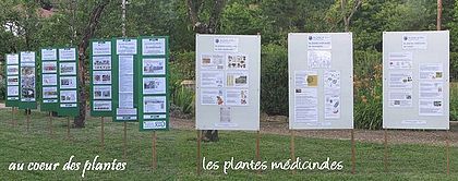 au coeur des plantes, et les plantes m�dicinales.