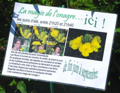 de fin juin � septembre, soir�es magiques !