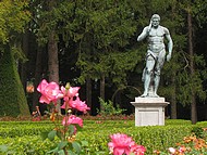 l'Hercule Lesdigui�res de la roseraie