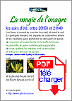 spectacle des soirs d'�t�