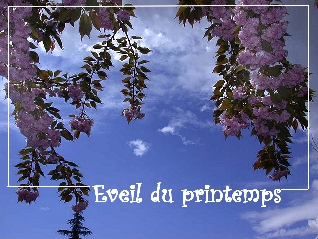 la saison du renouveau. C'est l'�veil du printemps au Jardin de La Source