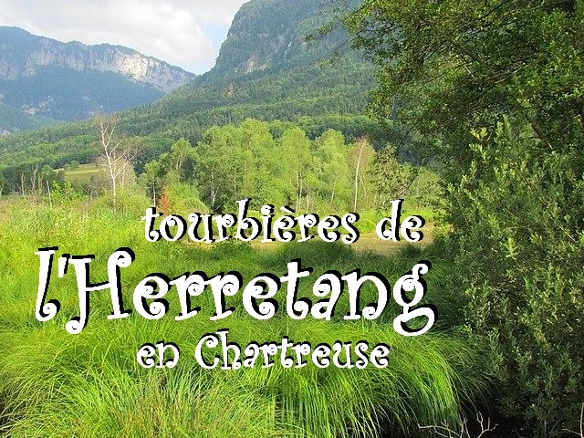 T�moignage d'une incroyable richesse v�g�tale et animale.