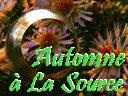 Les feuilles tombent, l'automne s'installe, apog�e du jardin. La nature s'embrase dans un bain de couleurs, avant la grisaille de l�hiver.