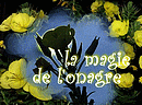 Ces secondes exceptionnelles o� la fleur d�roule ses p�tales