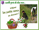 Pour quelques maux quotidiens, retrouvons un regard famillier sur quelques simples � port�e de main !