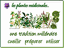 les reconna�tre, les cueillir, les utiliser est un bien inestimable.