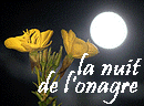les insectes nocturnes viennent se repa�tre de la nouvelle cuv�e de nectar...