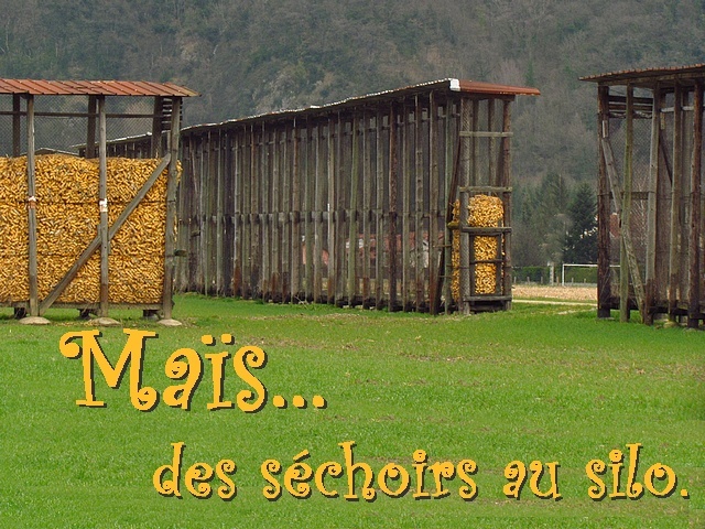 ma�s des s�choirs au silo