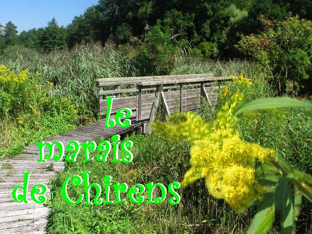 une mosa�que de milieux � grande diversit�.