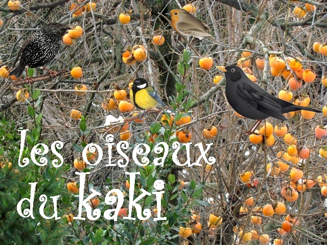 d�s le premier gel les oiseaux se bousculent dans le kaki, les fruits sont m�rs et le spectacle toute la journ�e !