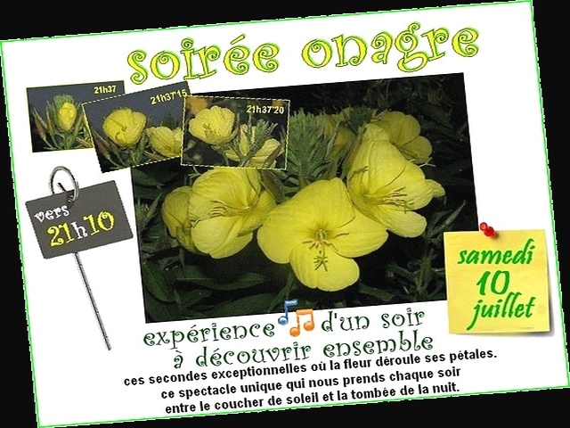 Nous avons propos� aux voisins, aux amis, aux passionn�s,une exp�rience d'un soir, � d�couvrir ensemble. 