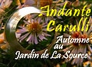 Cet andante de Fernandino Carulli propose un entrain et une sensualit� presque romantique