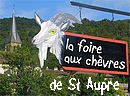Machine � remonter le temps, � retrouver un peu de nos entrailles paysannes, la foire aux biquettes est devenue une grande f�te populaire.