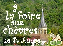 Ancestrale et authentique, la foire aux biquettes de St Aupre est devenue la grande f�te populaire de la fin d'�t�. Un grand moment convivial autour du tilleul s�culaire.