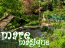 Sur la nappe des n�nuphars, le paradis.