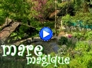 Sur la nappe des n�nuphars, le paradis.