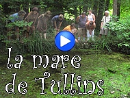 la mare �cologique de Tullins