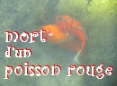 solidarit� aquatique