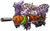 brochettes de poulet � la glycine