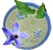 soupe � la bourrache