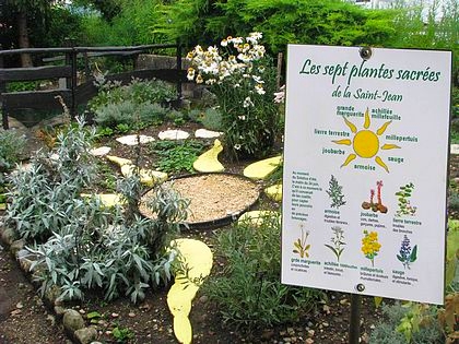 les herbes sacr�es de la st jean, jardin de la source