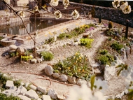 1984 premi�res fleurs