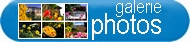 grande galerie d'images, ext�rieurs, int�rieurs...